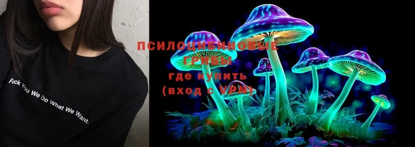 MESCALINE Коряжма