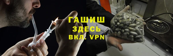 гидра Костерёво