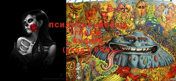 MESCALINE Коряжма